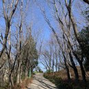 팔용산 테마공원 | 창원마산 팔용산 코스 : 등산초보도 가능한 산