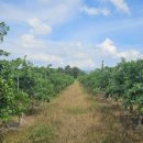 구송동길 이미지