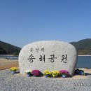 송해개발