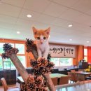 숲실초등학교 이미지