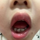 다름 과일 | 과일맛 나는 플랙커스 어린이 치실 내돈내산후기