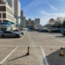 같이운동 엣지 | 디엣지아이스링크 성인 피겨 스케이팅체험 후기