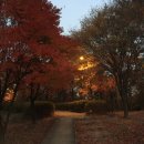 [동현씨..] 대전에서 보내는 흔적들🍁 이미지