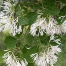 이팝미용 이미지