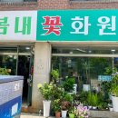 장미화원 | [우두동 꽃집/ 배달 가능] 춘천 꽃집 베스트, “봄내꽃화원”의 장미꽃바구니 후기