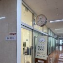 남지애견샵 | 천안애견미용 두정동 비숑 귀툭튀컷 후기