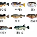 바다복집 이미지