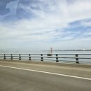 동양바이크 이미지