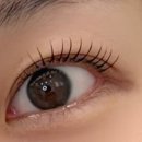 아미속눈썹