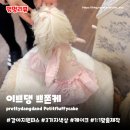 이쁘댕 | 강아지원피스 이쁘댕 쁘쫀케 | 귀여운 봄옷 드레스 반다나 브로치 세트 후기