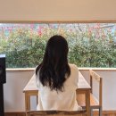 다경하녹 | 촌 애들의 촌캉스