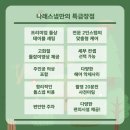 나래스포츠 | [나래스냅] 제주 돌스냅 1위 | 원조숲속돌상스냅 촬영후기_11개월 여아