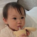 9개월 아기와 상하이 가족여행 전 8가지 준비 과정