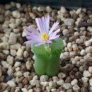 신석호정신과의원 이미지