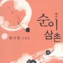 순이삼촌 - 현기영 이미지