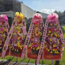 조앤조연합치과의원 이미지