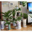 초리농장 이미지