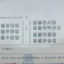 아리엘언니 이미지