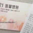 답21동물병원 이미지