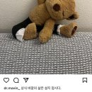 희 이미지