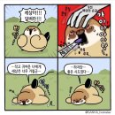 CU 수완원룸점 | [2022.09.26~2022.10.02] 신경질 내고 싶을 땐 신경질 내야지👿