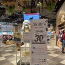 몰리스펫샵 스타필드시티 위례점 이미지