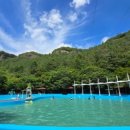 봉동 구수골 계곡 이미지