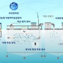 피쉬팜