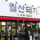 월산돼지