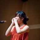 하모니카(실용) 이미지