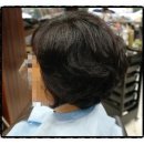 한스헤어 이미지