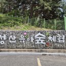 성산 유아숲체험원 이미지
