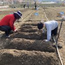 신용농장 이미지