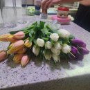 1377 | 생화 택배 만족도 최고, 안산유스풀몰 튤립 30송이 엄마 선물 후기