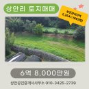 상안공인중개사사무소 이미지