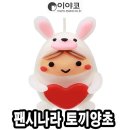 팬시나라 이미지