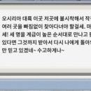 알파랜드
