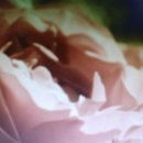 로이힐링 - 달서구 | 로이힐링