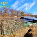 낙하목장 이미지