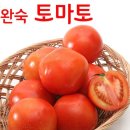 토마토 쇼핑하우