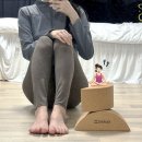 가드엑스 리커버리 반달블럭 후기 홈트로 필라테스 효과 내는 스트레칭 기구