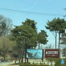 휠노래공원 | [꾸름이] 경기 북부 연천 여행 코스 아이랑 가볼만한 곳_전곡선사박물관, 입장료, 주차 후기 🚙