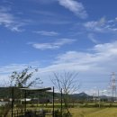 느티나무 노래연습장 이미지