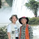 백초당한의원 이미지