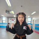 태극타이거합기도 이미지