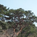 안과밖