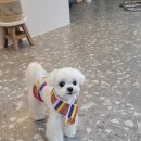 토비네 살롱 이미지