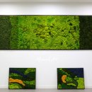 온누리의료재단 이미지