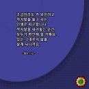 여지 STR 이미지