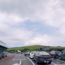 글꽃담은선물가게 | 제주 성산일출봉 앞 꽃담수제버거 제주 수제버거 솔직후기 성산일출봉 주차